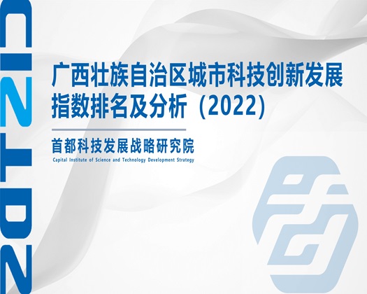 美女美屄美肏【成果发布】广西壮族自治区城市科技创新发展指数排名及分析（2022）